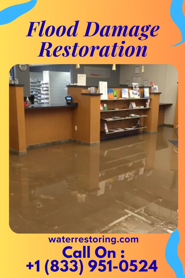 Flood Damage Restoration in Central Lake, MI