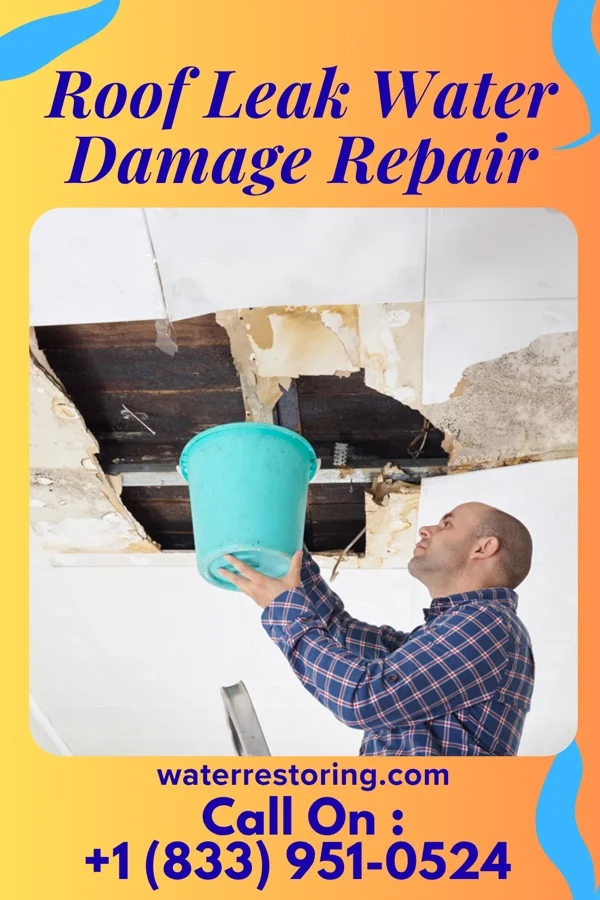 Roof Leak Water Damage Repair in Central Lake, MI