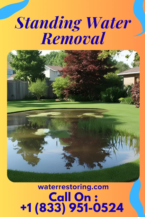 Standing Water Removal in Central Lake, MI